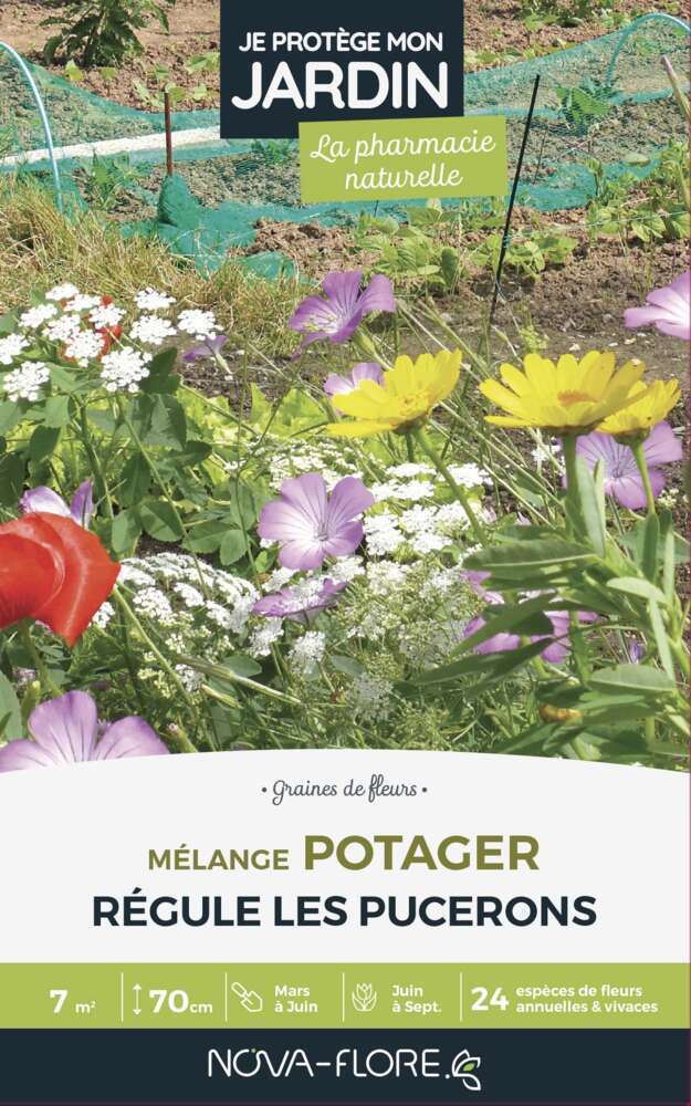 Mélange fleuri anti pucerons 7m2 : En boite