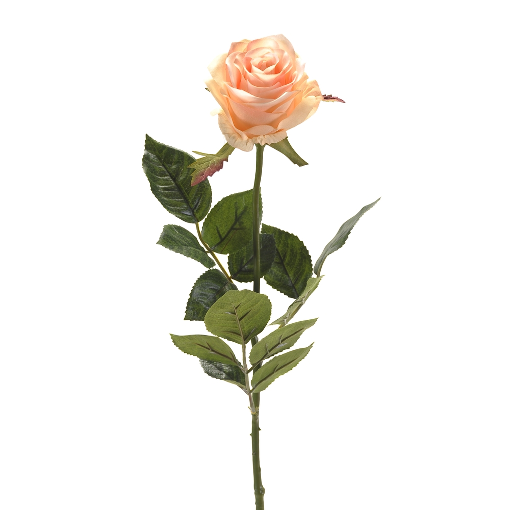 Tige rose simone, pêche H. 73 cm