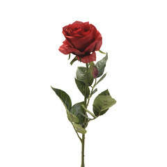 Tige rose simone, rouge H. 73 cm Emerald | Truffaut