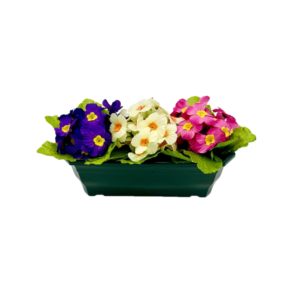 Jardinière 30Cm de primevères en couleurs assorties, H25 CM - L38 Cm