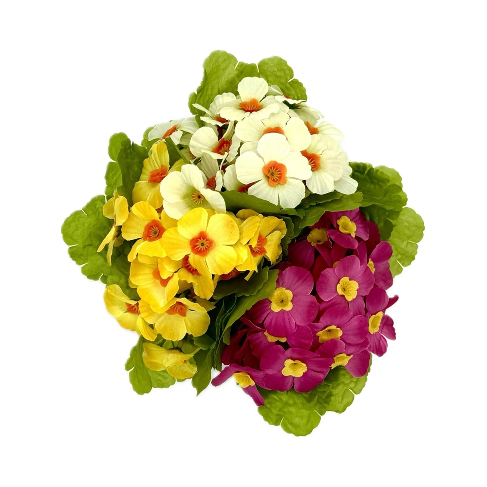 Coupe de primeveres en couleurs assorties, H20CM - L24Cm, 2,5Kg