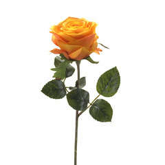 Tige rose simone, jaune/orange H. 45 cm