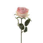 Tige rose simone, rose clair H. 45 cm