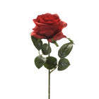 Tige rose simone, rouge H. 45 cm
