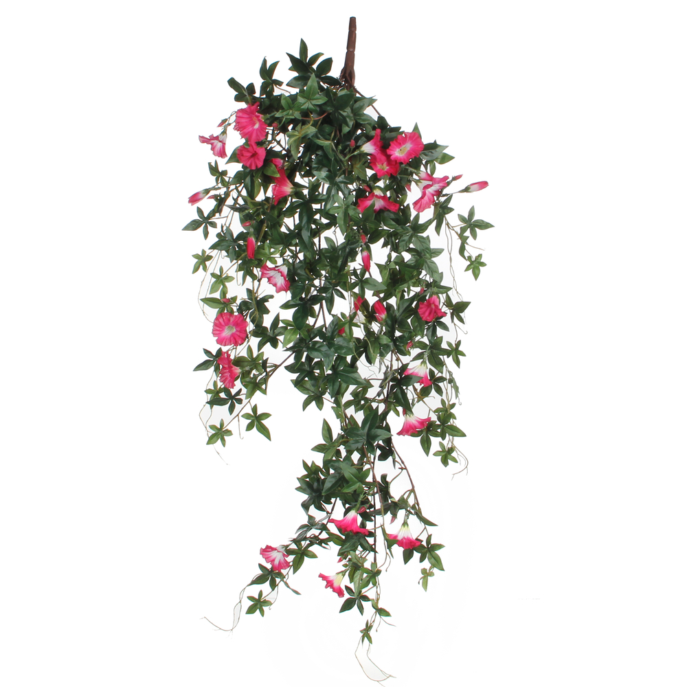 Chute de liseron, fuchsia L. 80 cm