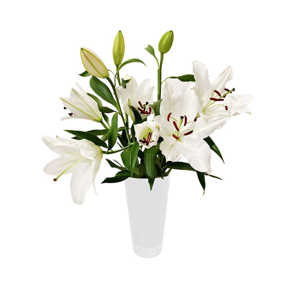Botte Lys Oriental BlancÂ 3 tiges de 60cm