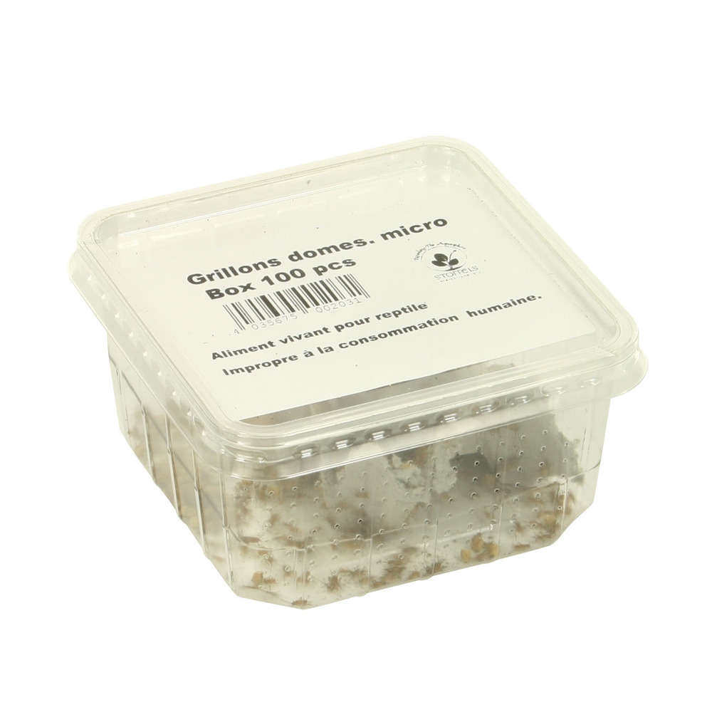 Grillons alimentation reptiles, taille M, environ 120 pièces