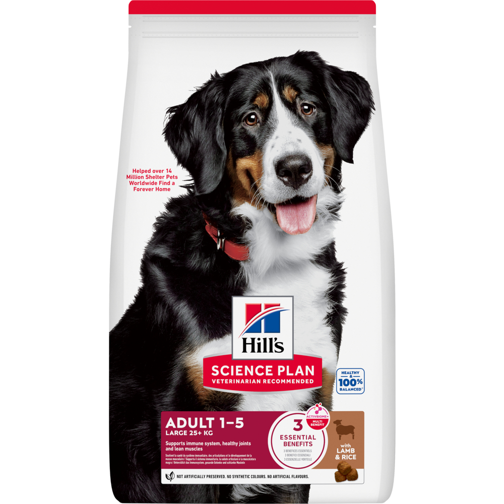 Croquettes grand chien : agneau et riz 12 kg