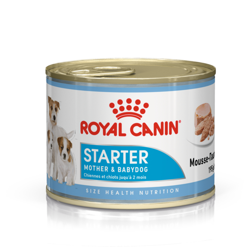 Aliment CHN Wet Starter Mousse 195g