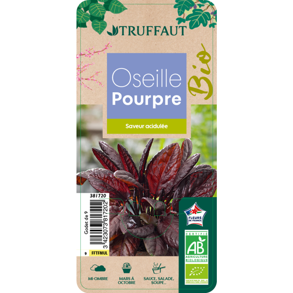 Pot oseille pourpre ab : d.9cm