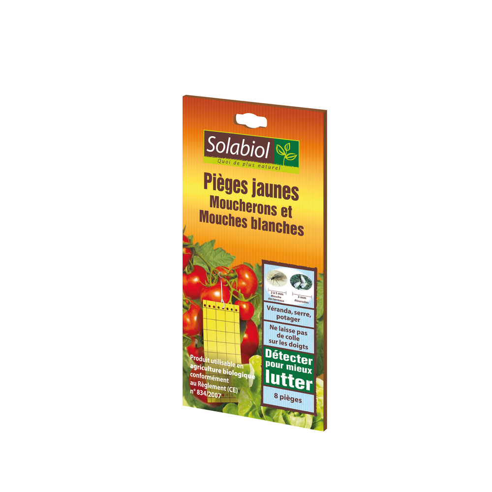 Pièges jaunes moucherons et mouches blanches : étui de 8 pièges