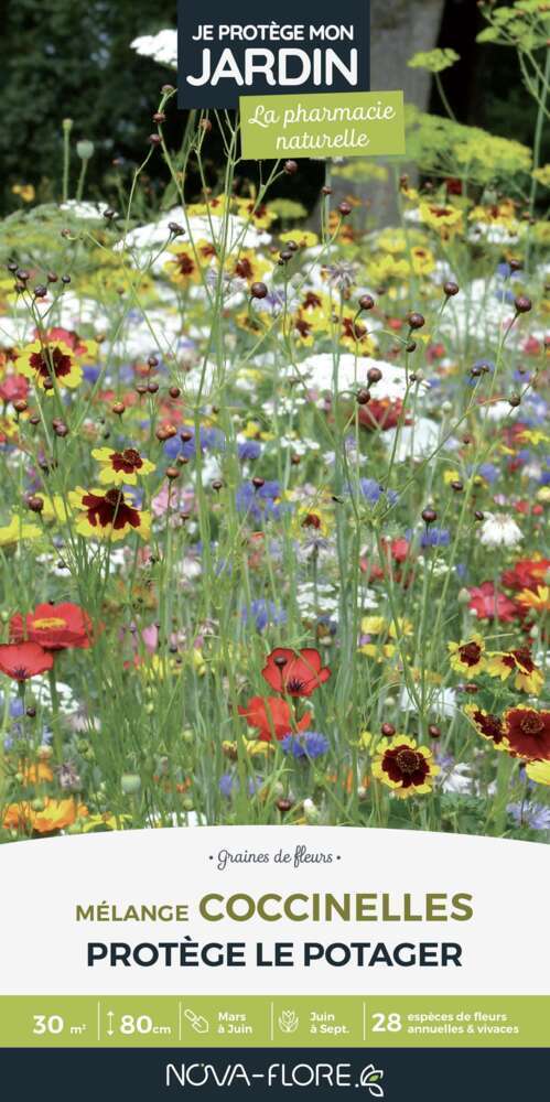 Mélange fleuri Coccinelles 200 g - En boite