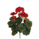Piquet geranium, rouge Ø 20 cm