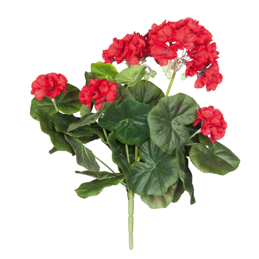 Piquet geranium, rouge Ø 20 cm