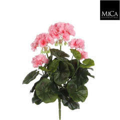 Piquet geranium, rose Ø 20 cm