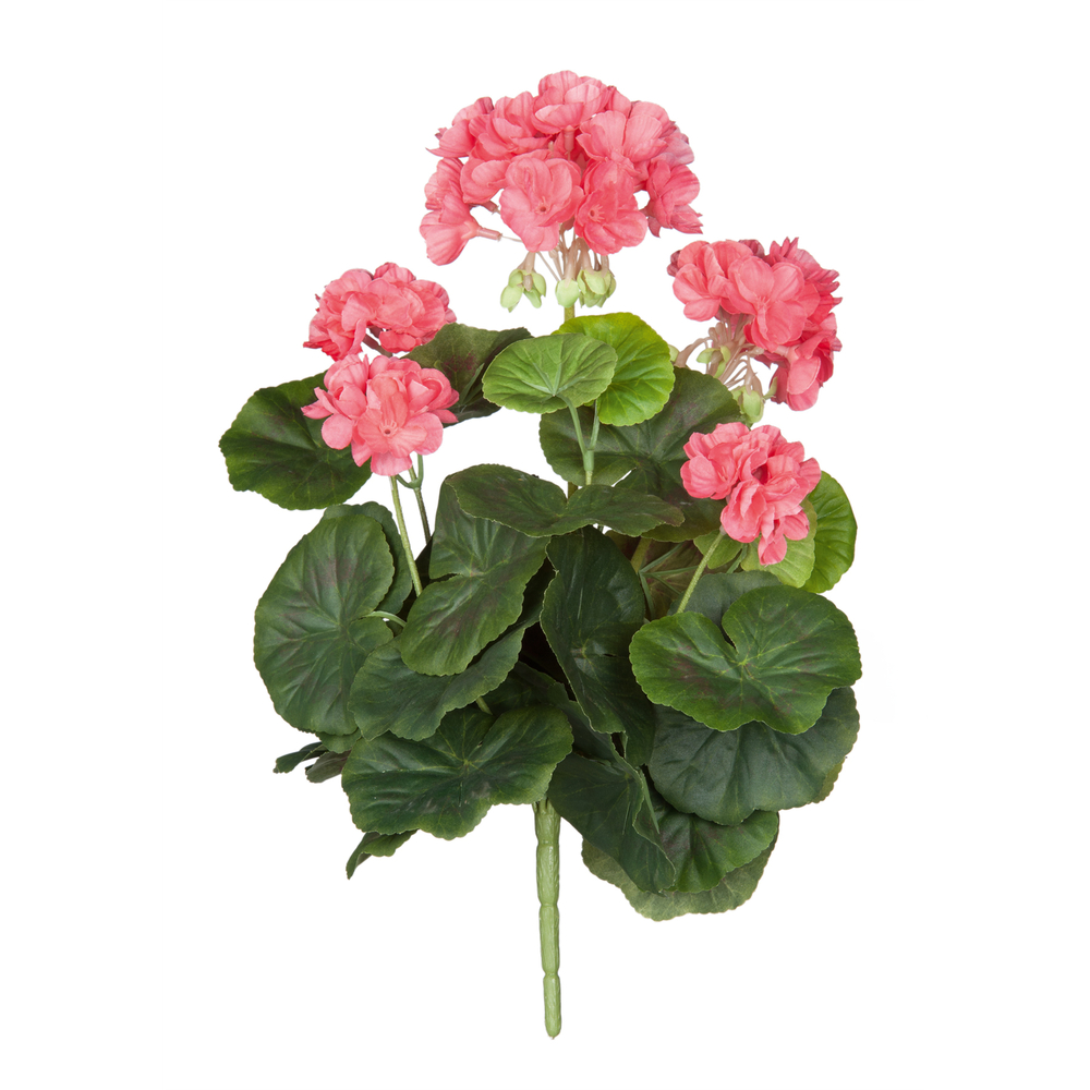 Piquet geranium, saumon Ø 20 cm