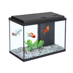 Le plus petit aquarium de l'aquacave ! 