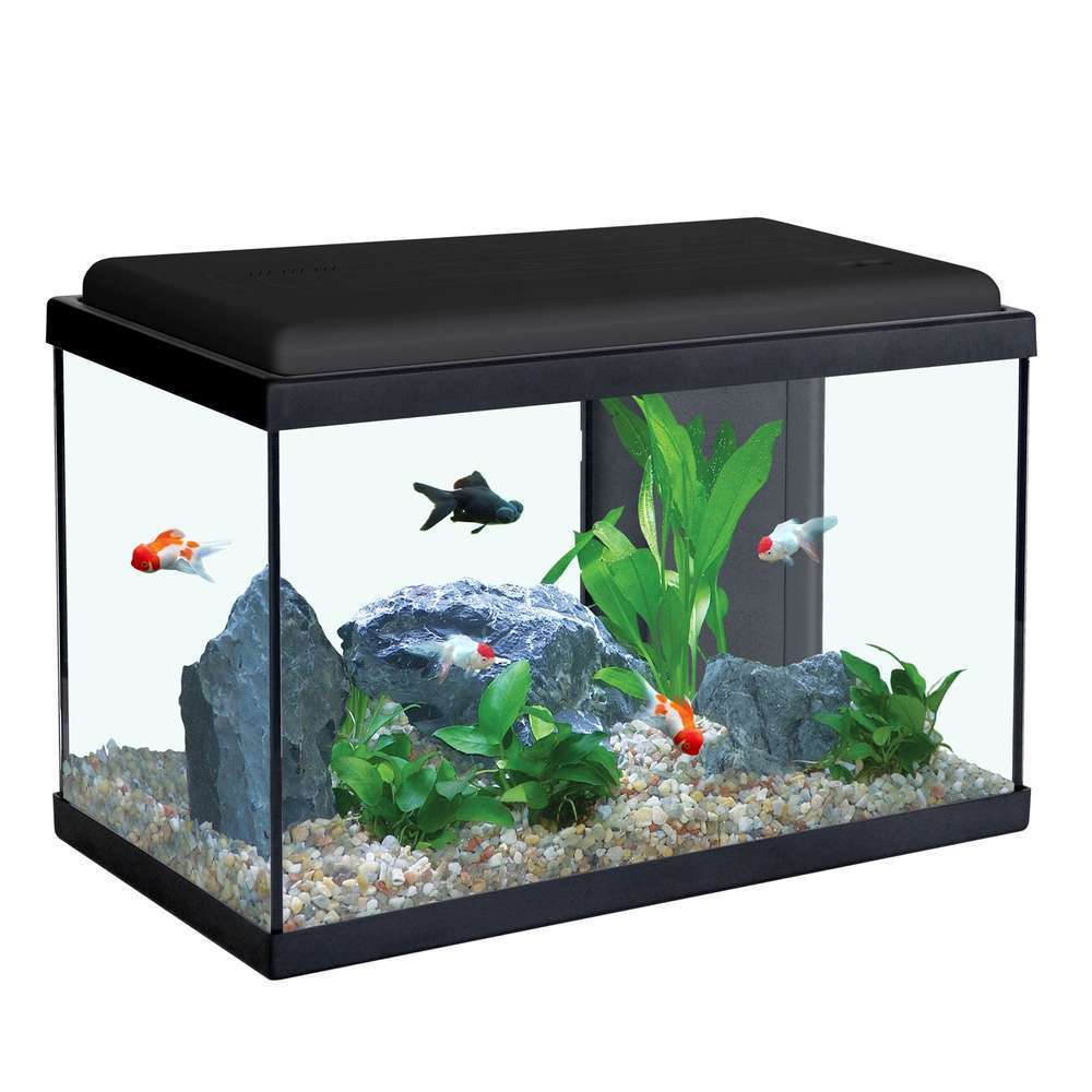 Aquarium Sarawak noir 40 litres Aquadisio Truffaut