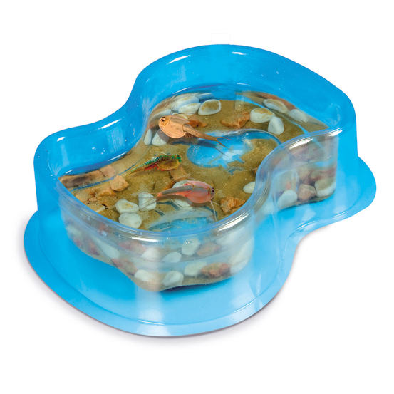 Jeu éducatif: Triops