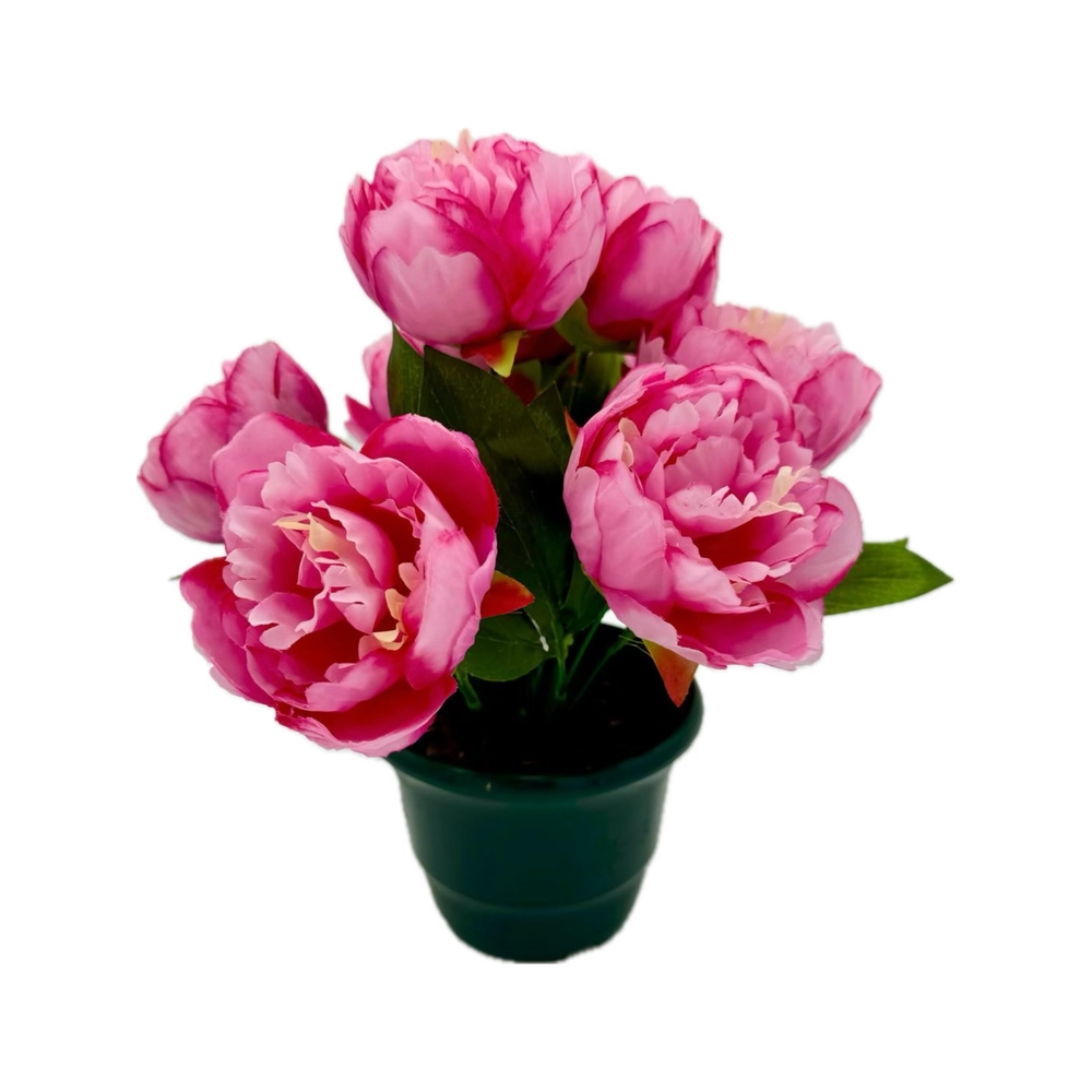 Plateau de 9 pivoines rose , H38CM - L30Cm, 2Kg