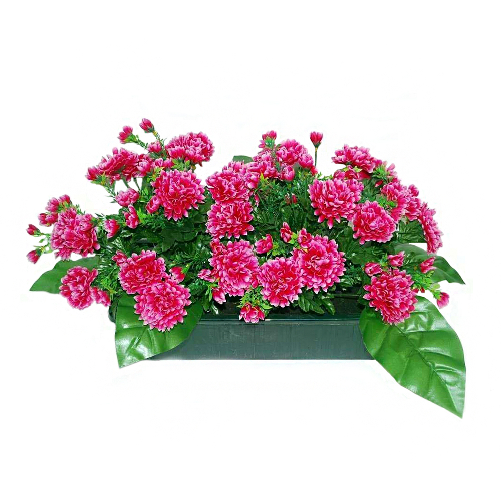 Jardinière 40Cm de 48 chrysantheme fushia , H35CM - L50Cm, 5Kg