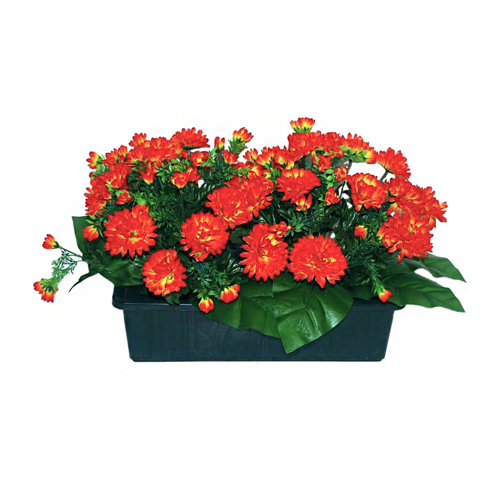 Jardinière 40Cm de 48 chrysantheme tabac , H35CM - L50Cm, 5Kg