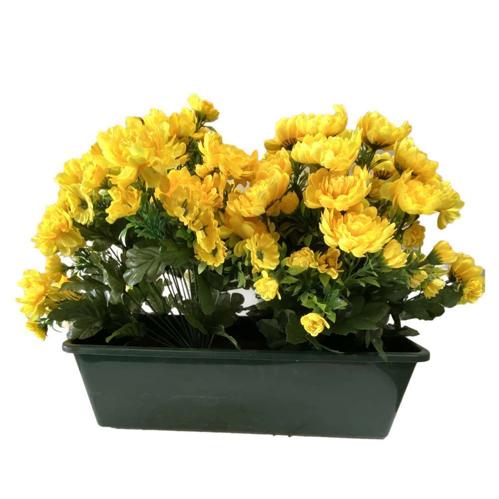 JardiniÃšre chrysanthÃšmeÂ : jaune h 25cm