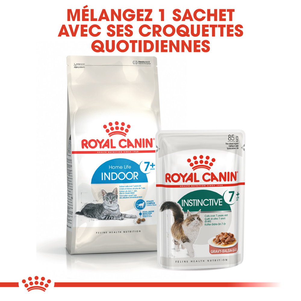 Croquettes chat senior Royal Canin Indoor 7+ : 3,5 kg