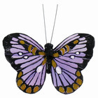 Papillons colorés x6