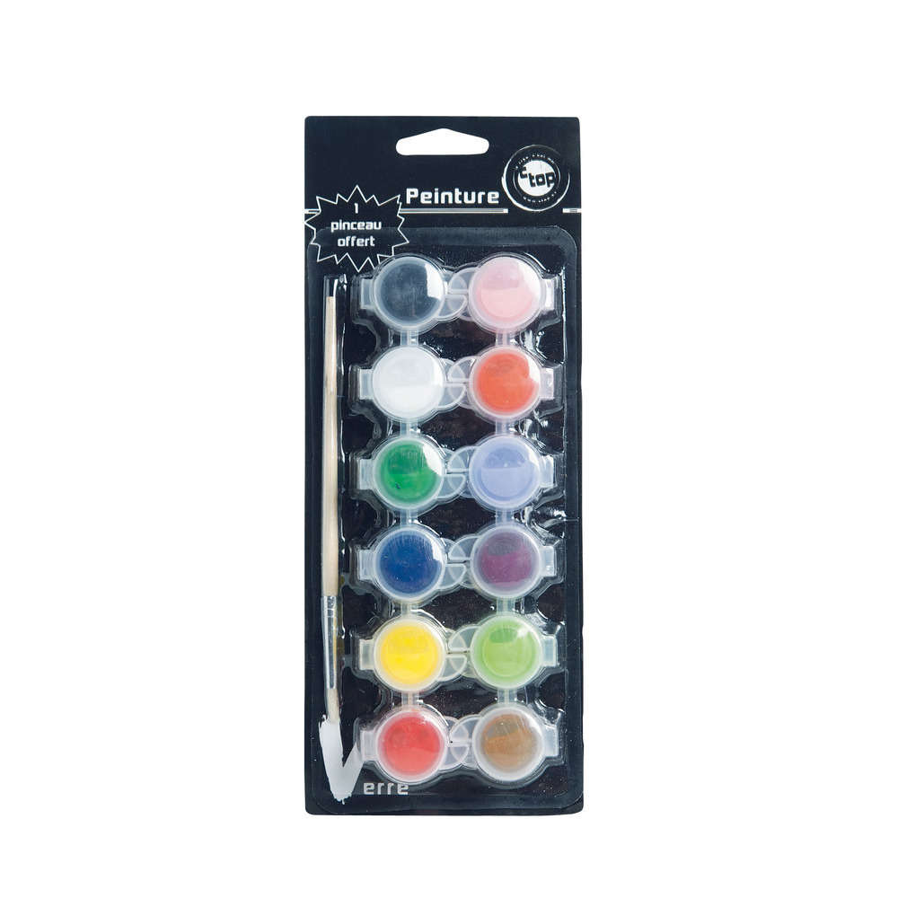 Peinture acrylique 12x6 ml