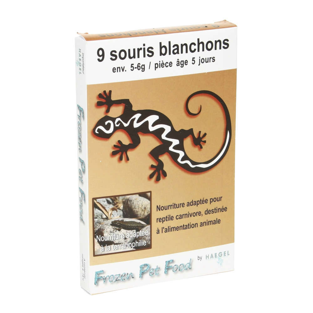 Souris blanchons 5 jours, 5-6 gr (9 pièces)
