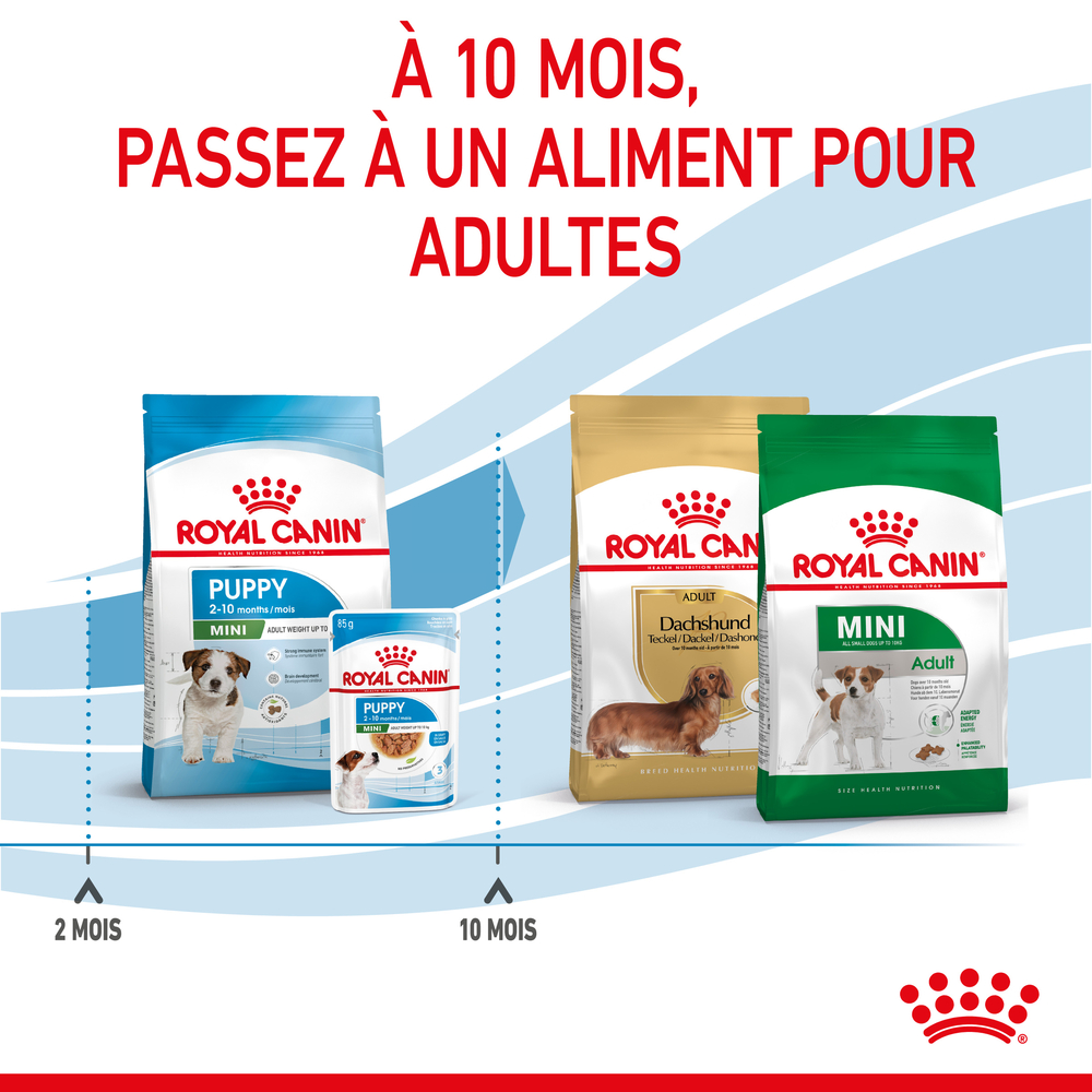 Croquettes petit chiot de à 10 mois Puppy Mini 2kg Royal Canin