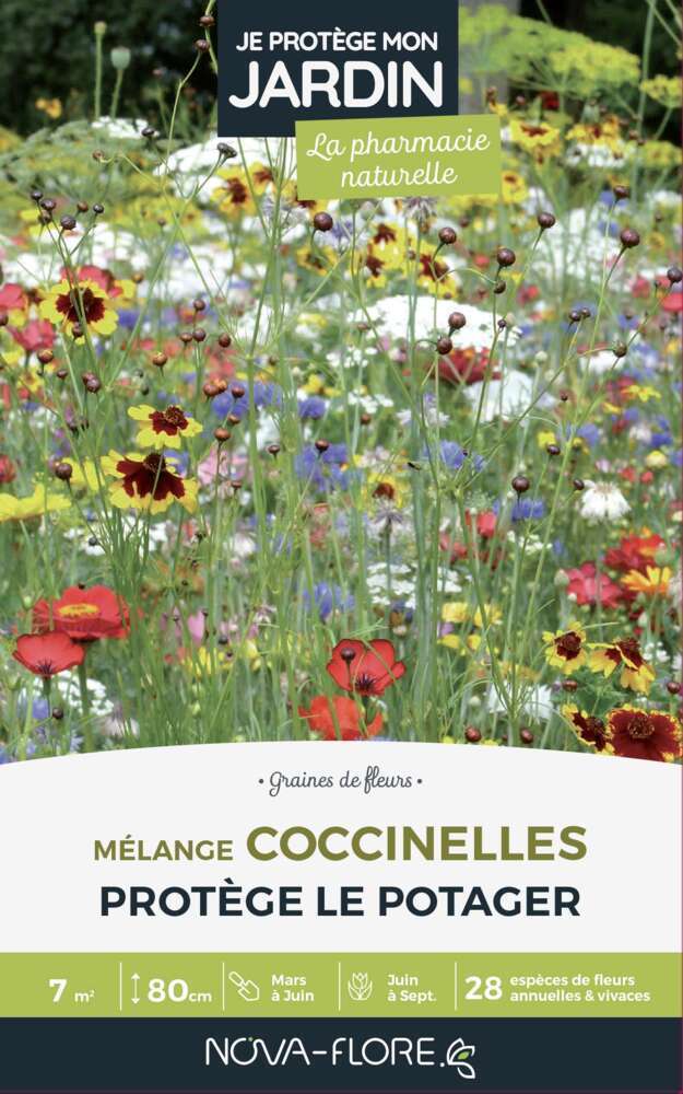 Mélange fleuri Coccinelles 60 g - En boite