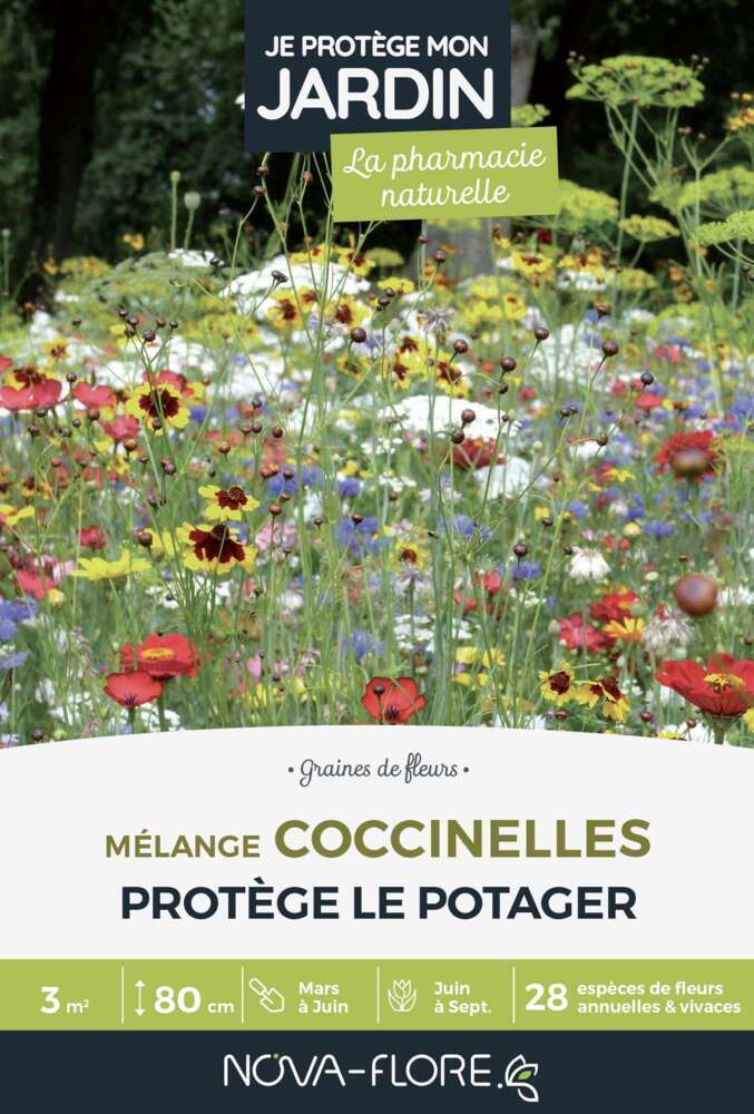 MÃ©lange fleuri Â«Â CoccinellesÂ : boite de 16g