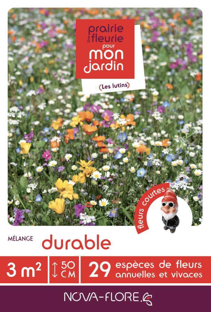 Mélange fleuri Mélange court durable 16 g