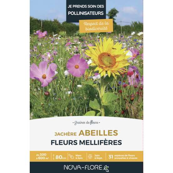 Mélange fleuri Abeilles annuelles et vivaces 500 g - En boite