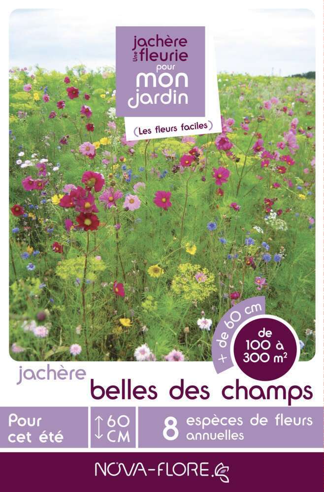 Mélange fleuri Belles des Champs 500 g - En boite