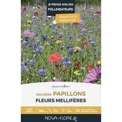 Prairies fleuries : jachère papillons - 100/200m²