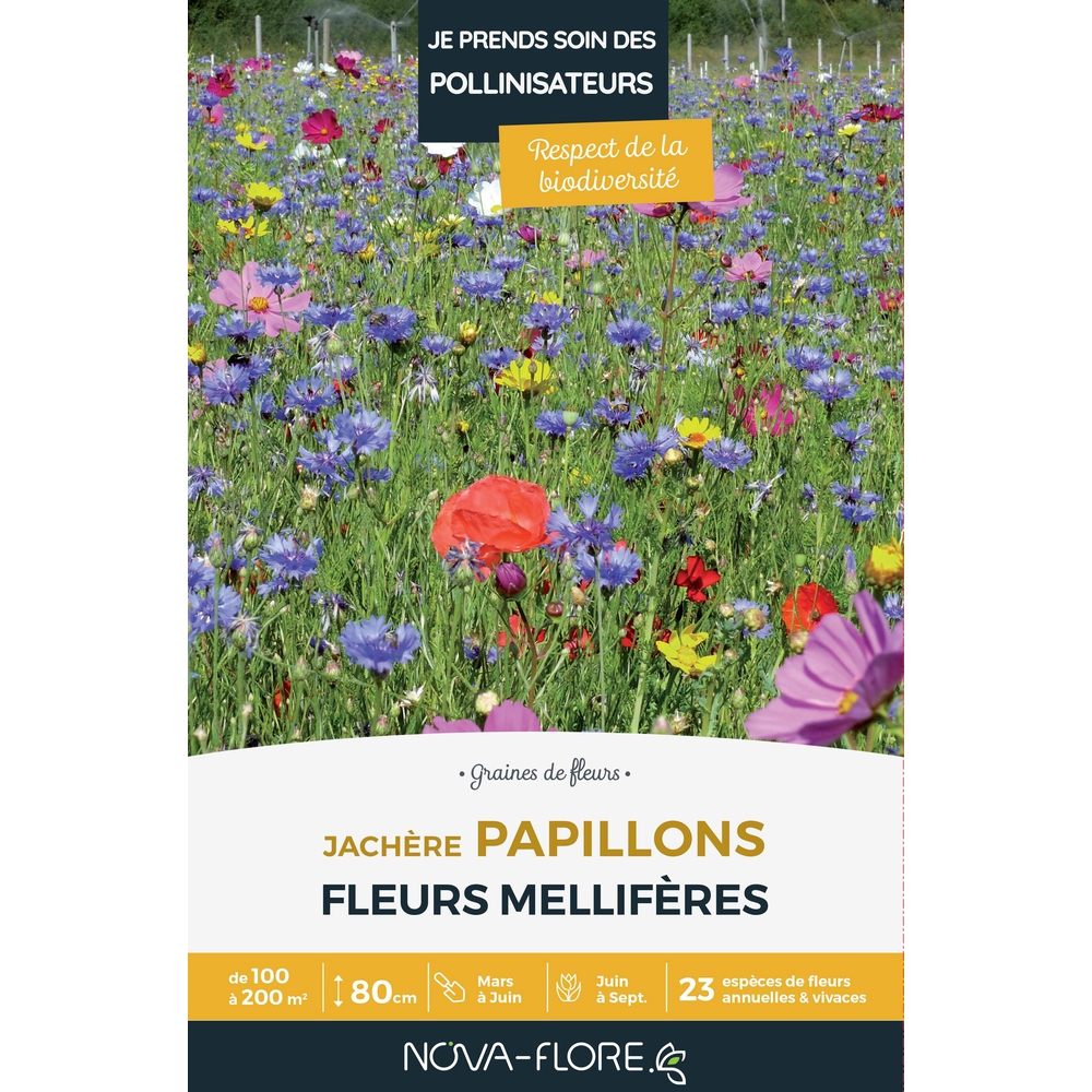 Mélange fleuri Papillons 500 g - En boite