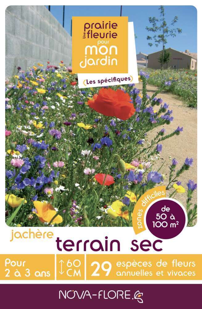 MÃ©lange fleuri Terrain sec : boite de 500g