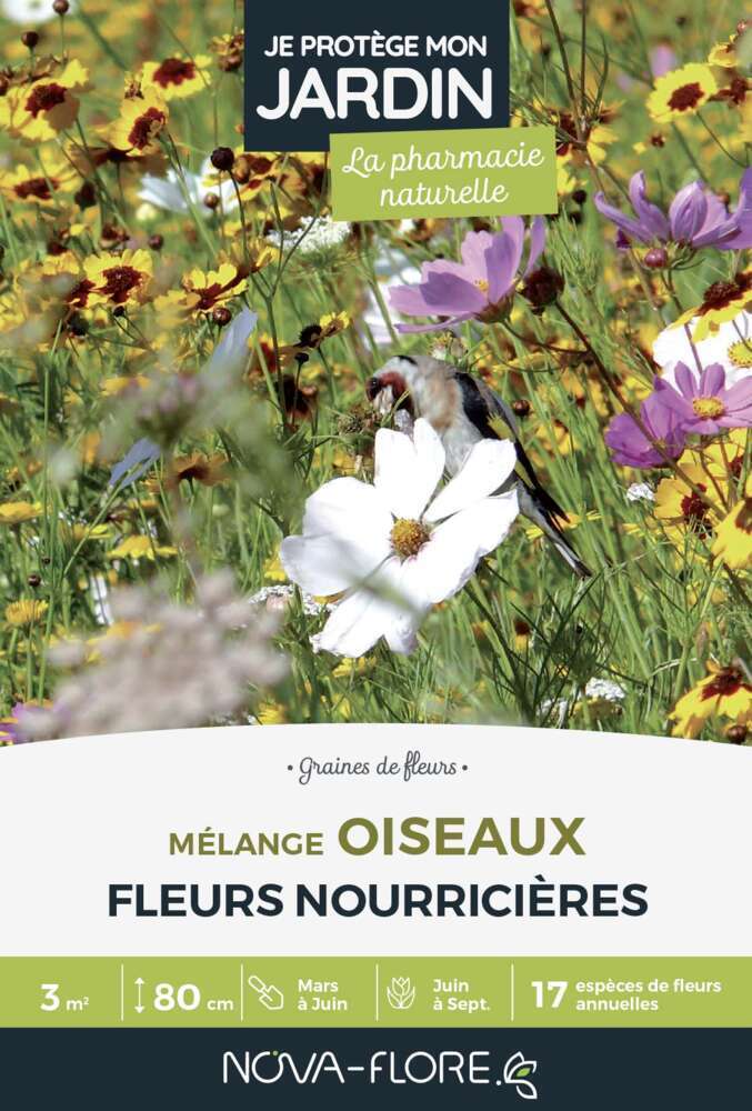 MÃ©lange fleuri d'annuelles : spÃ©cial oiseaux