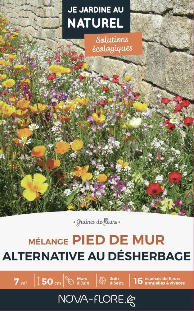 MÃ©lange fleuri Pied de mur: boite de 60g