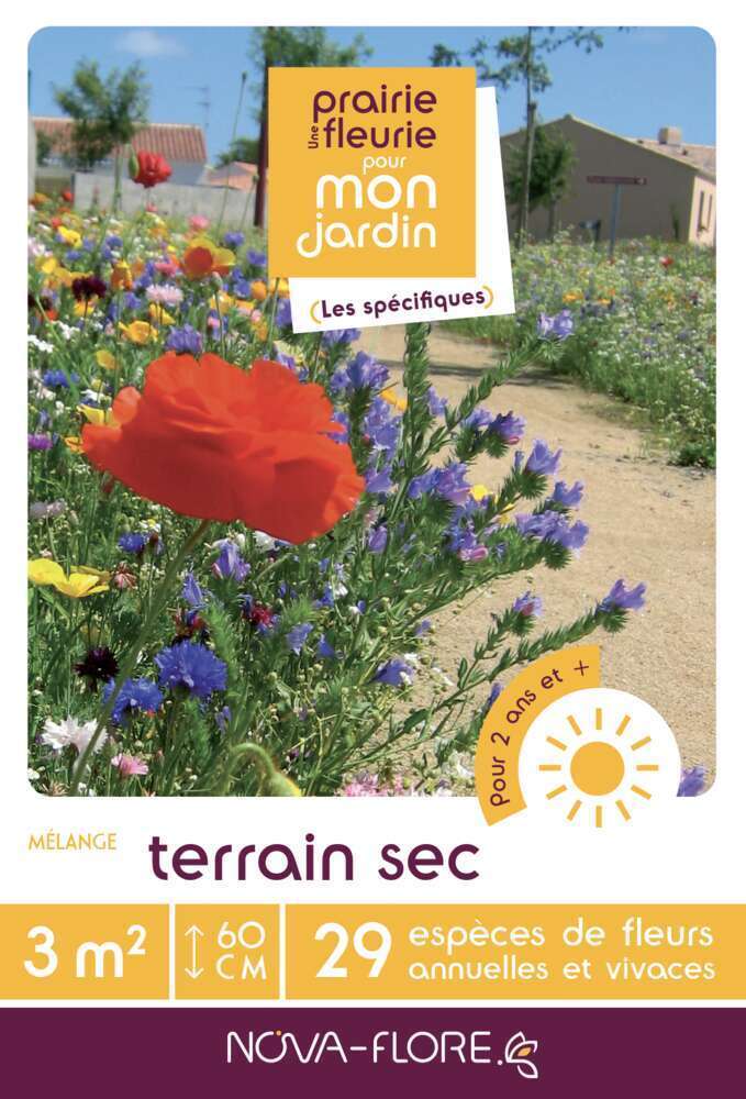 MÃ©lange fleuri Terrain sec : boite de 16g