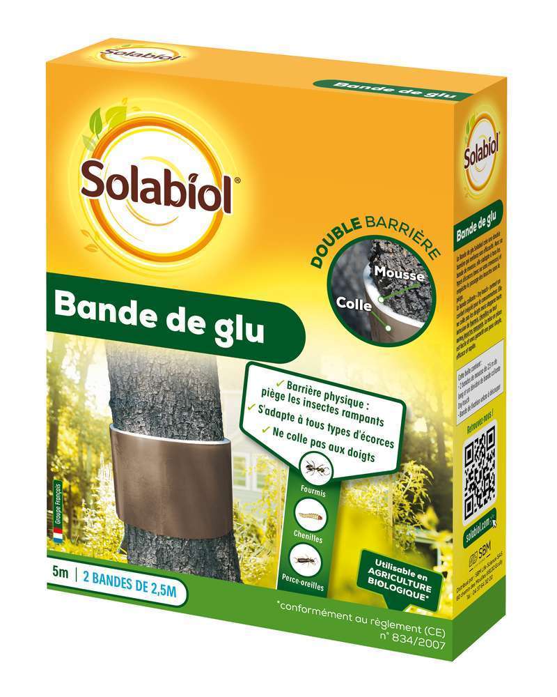 Bande de glu : 5Â m