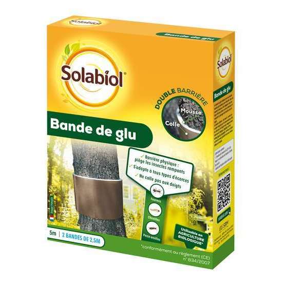 Bande de glu : 5Â m