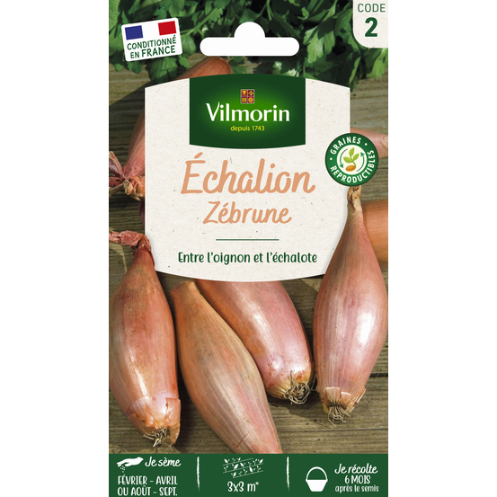 Graines d'échalion Zebrune en sachet