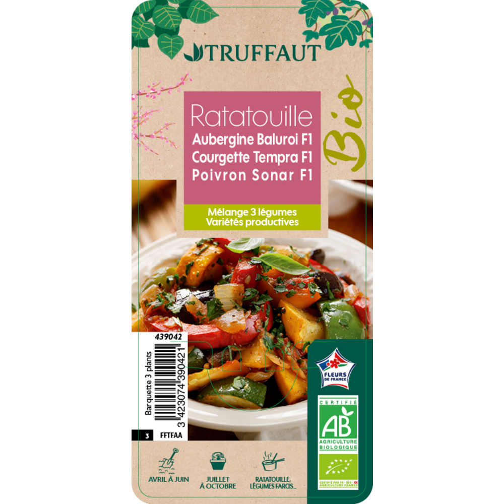 MIX RATATOUILLE AB B3-(439042)