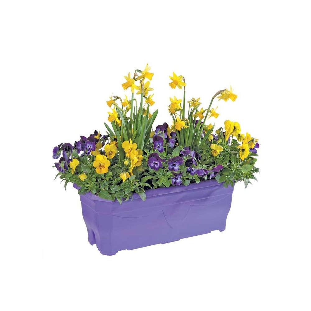 Viola+bulbes : jardinière 40cm - Coloris variables