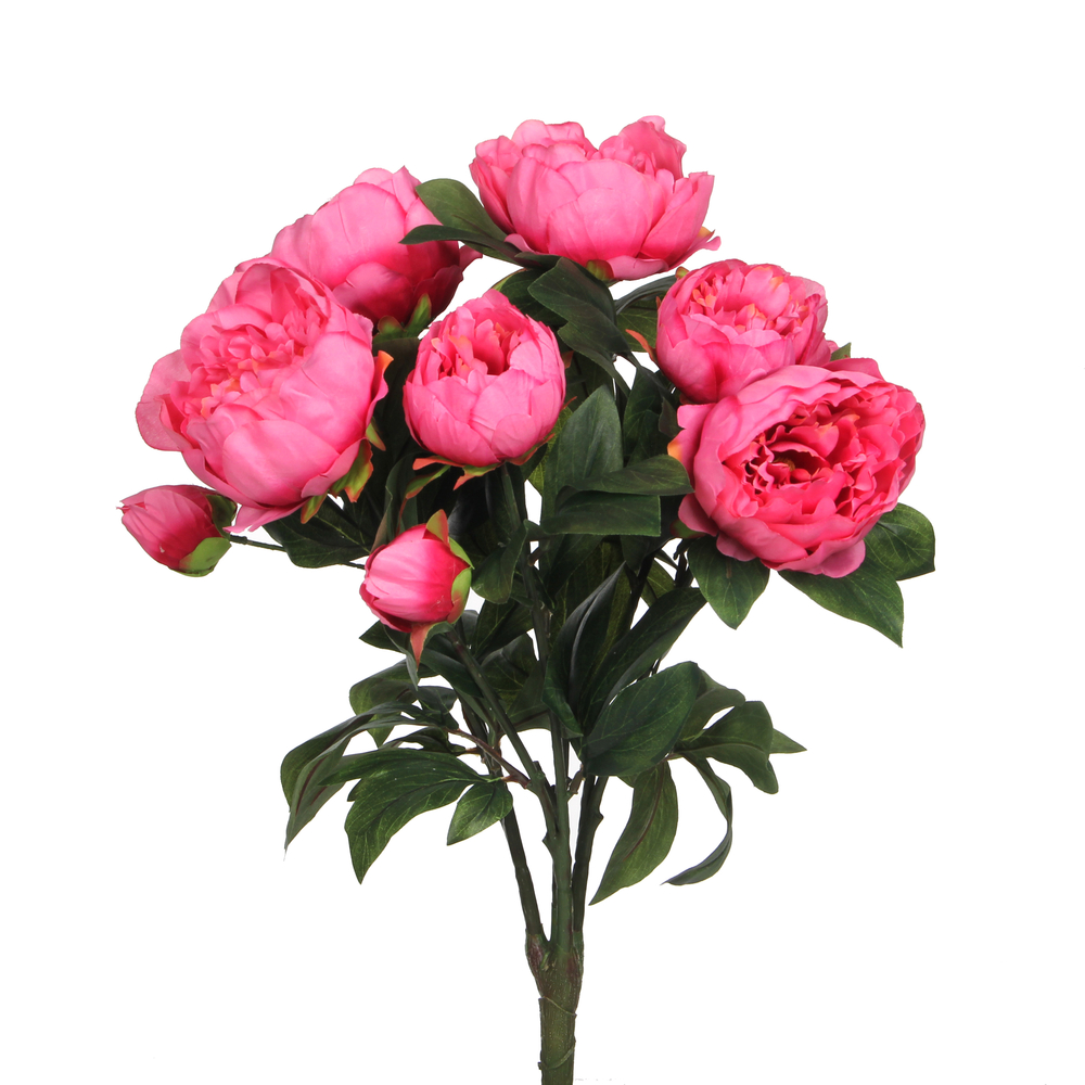 Bouquet pivoines mila, rose foncé 56 cm
