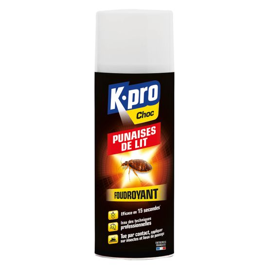 Aérosol foudroyant punaises de lit : 400ML